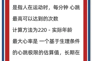 为什么测量篮球运动员的心率对训练有帮助:深入探讨与最佳实践
